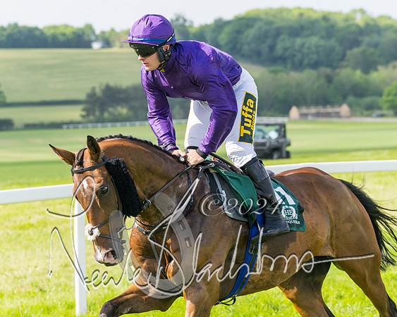 Race 4 - PPORA Novice Riders Final  (141 of 362)