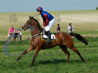picture-13