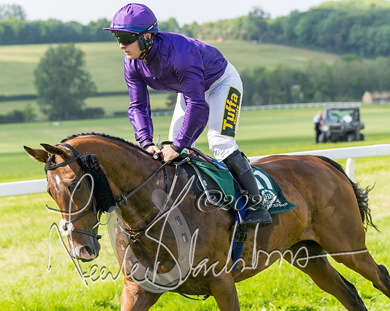Race 4 - PPORA Novice Riders Final  (142 of 362)