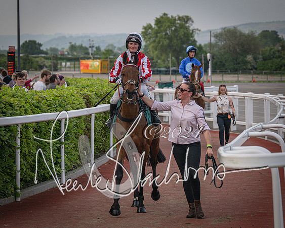 Race 5 - Mares Open Hunter Steeplechase 3m2f 70y (48 of 269)