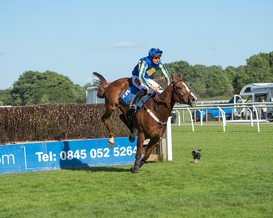 Race 1 - PPSA Open Hunter chase (53 of 78)