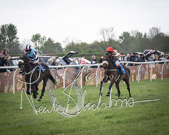 Pony Race 2 (43 of 84)-
