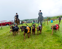 Race 7 - Hound Race etc (11 of 108)