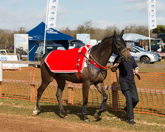 Race 1 - 4-5-6 Maiden (26 of 119).jpg