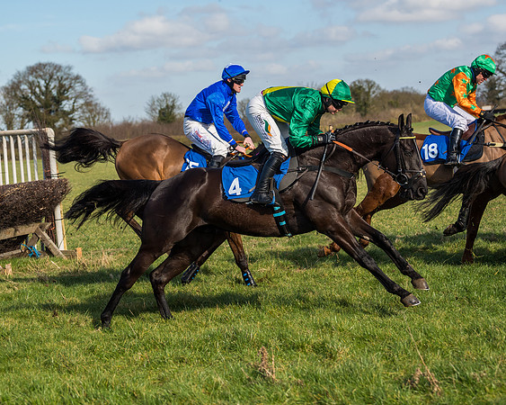 Race 1 - Open Maiden Division 1 (78 of 170)