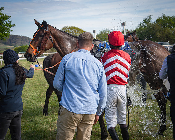 Race 5 - The 5G Restricted Race (47 of 56)