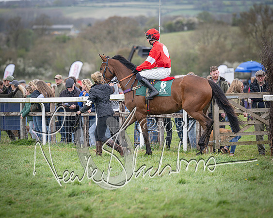 Race 2 - Tattersalls Cheltenham 4 year old Maiden (16 of 85)