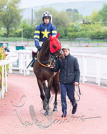 Race 5 - Mares Open  (15 of 129)