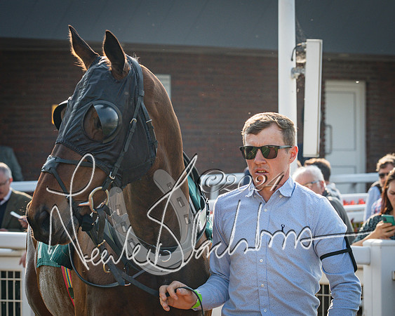 Race 3 - The Junior Jumpers open hunter's steeple chase 3m1f56y (11 of 156)