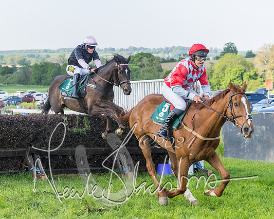 Race 7 - Veteran Horse (95 of 246)