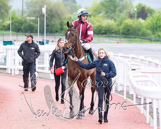 Race 5 - Mares Open  (19 of 129)