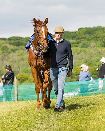 Race 5 - Restricted  (6 of 136)