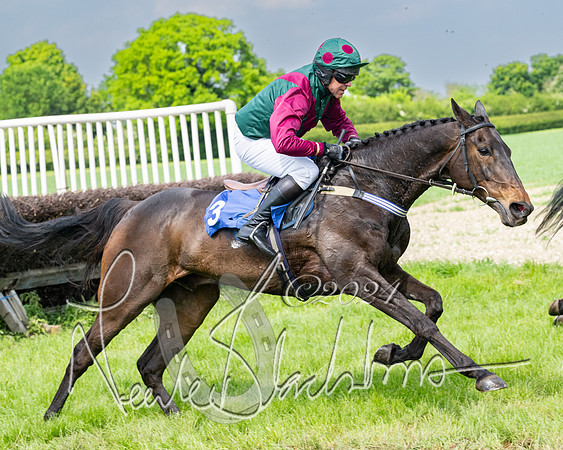 Race 2 - Restricted  (235 of 308)