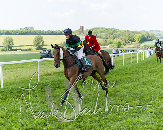 Race 2 - The Mixed Open (11 of 347)