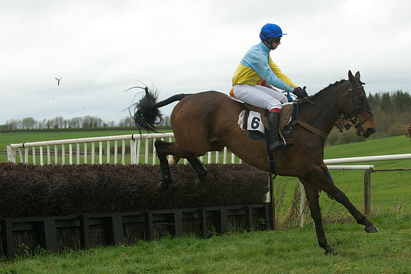 Race 2 - Confined 40