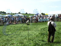 picture-4