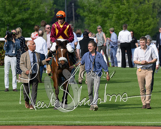 Race 1 - The Bottle Green Open Hunters steeplechase 2m62y (67 of 93)