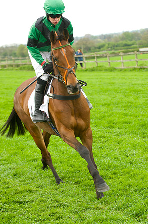 Race 3 - 4-5-6 Maiden 19