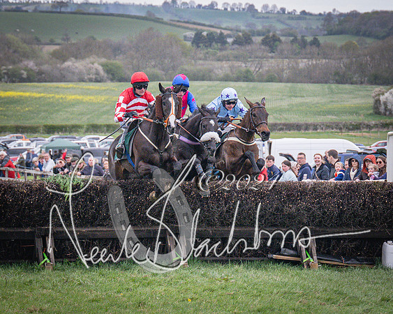 Race 6 - The Restricted Race (65 of 101)