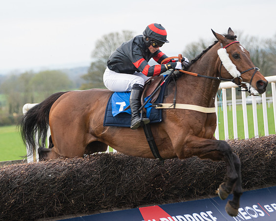 Race 6 - The Restricted Race (142 of 200)