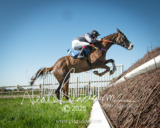 Race 5 - The restricted (64 of 113)