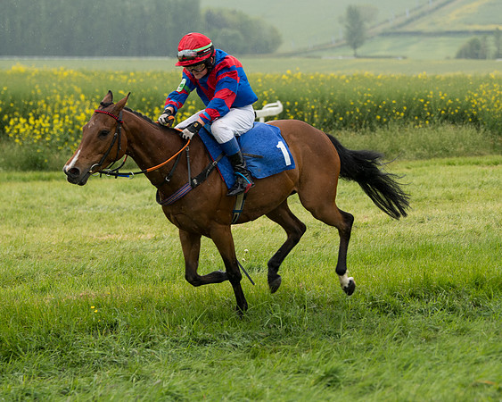 Pony Race 1  (75 of 125)