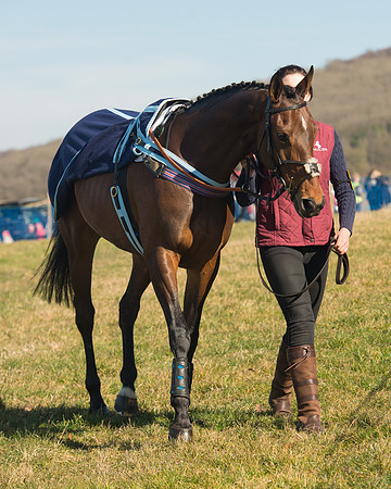 Race 1 Div 1 - 2M4F Maiden (19 of 117).jpg
