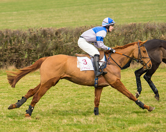 Race 3 - Restricted  (16 of 100)