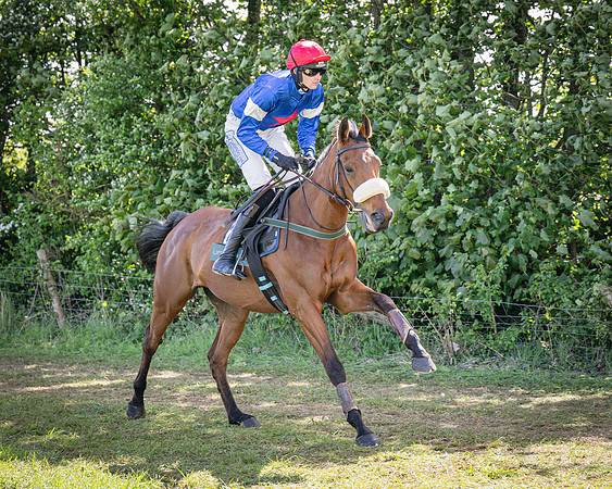 Race 2 - Winkworth conditions race 2m 4f (18 of 126)