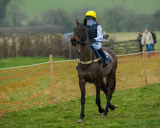 Pony Race 3 (7 of 67)