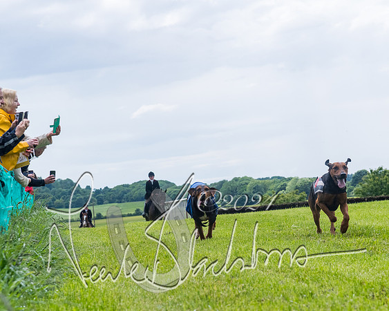 Race 7 - Hound Race etc (90 of 108)