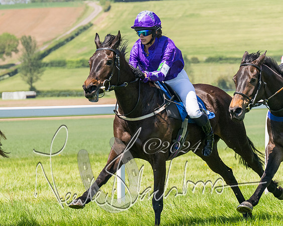 Pony Races  (91 of 141)