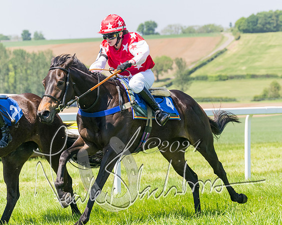 Pony Races  (96 of 141)