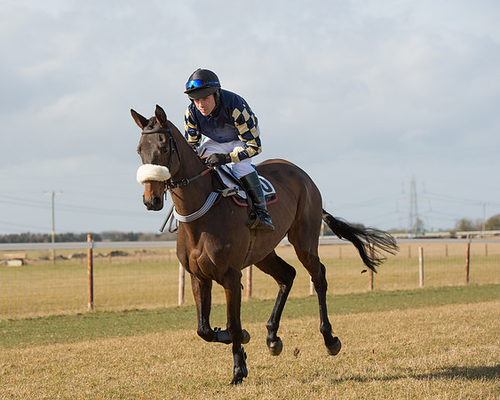 Race 1 - 4-5-6 Maiden (39 of 119).jpg