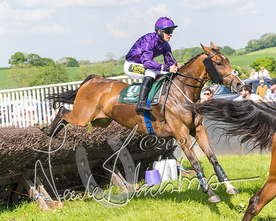 Race 4 - PPORA Novice Riders Final  (187 of 362)