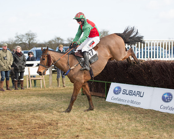 Race 1 - 4-5-6 Maiden (105 of 119).jpg