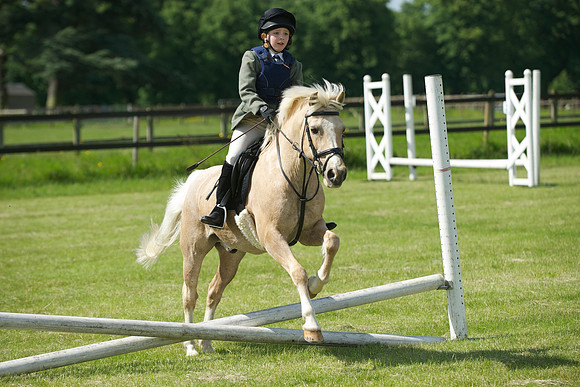 SOHS PC Summer Show at BCA 17th June 2012