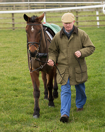 Bicester Ponies-1.jpg