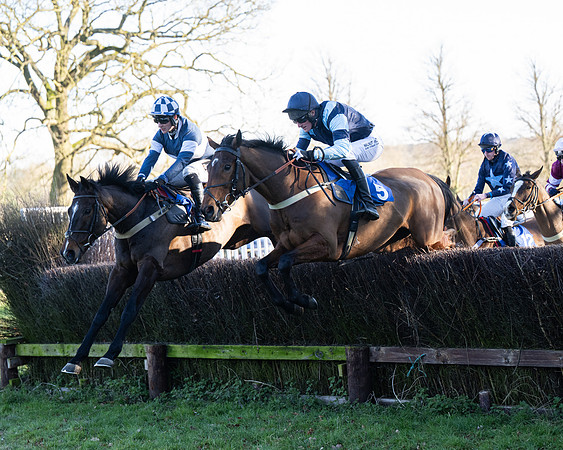 Race 5 - Maiden (50 of 123)