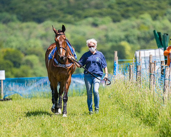 Race 1 - Owner Trainer Conditions  (8 of 190)