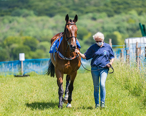 Race 1 - Owner Trainer Conditions  (9 of 190)