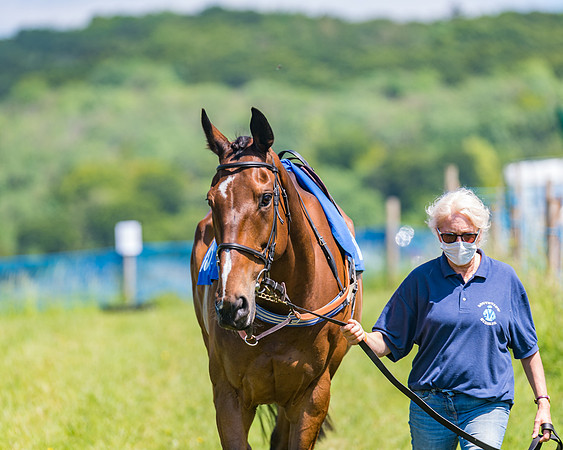 Race 1 - Owner Trainer Conditions  (10 of 190)