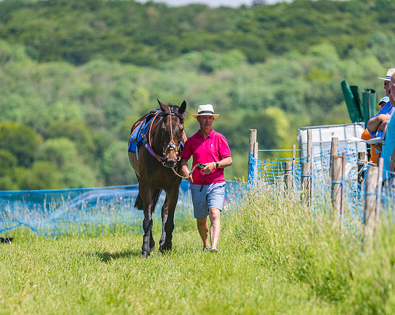 Race 1 - Owner Trainer Conditions  (12 of 190)