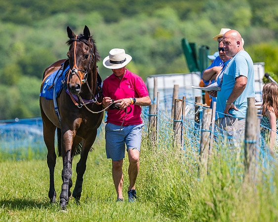 Race 1 - Owner Trainer Conditions  (13 of 190)