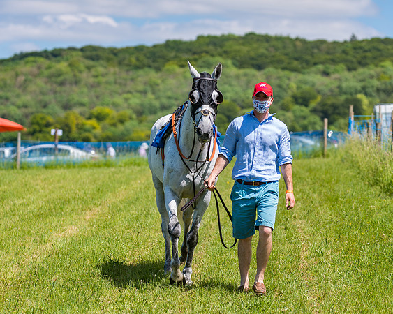 Race 1 - Owner Trainer Conditions  (19 of 190)