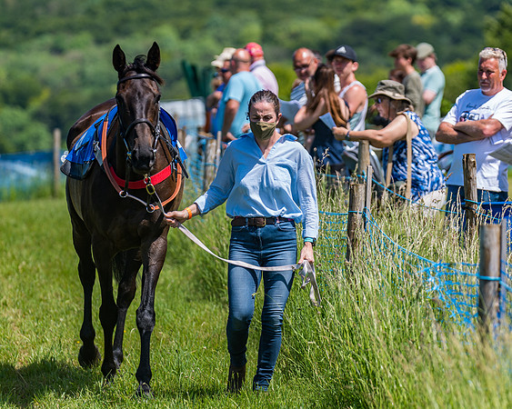 Race 1 - Owner Trainer Conditions  (25 of 190)