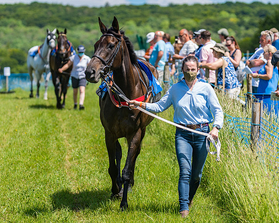 Race 1 - Owner Trainer Conditions  (30 of 190)