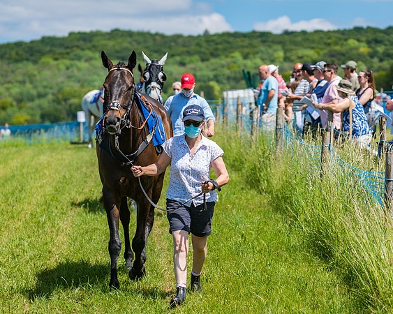Race 1 - Owner Trainer Conditions  (32 of 190)