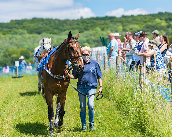 Race 1 - Owner Trainer Conditions  (33 of 190)