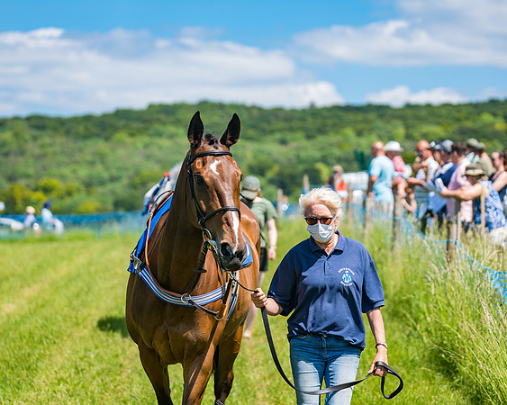 Race 1 - Owner Trainer Conditions  (34 of 190)